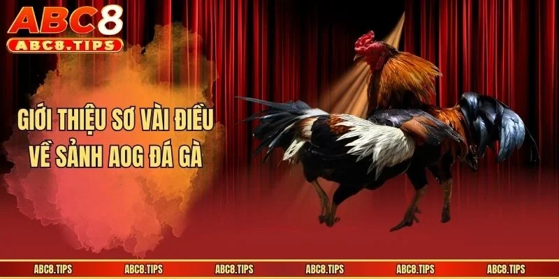 Giới thiệu sơ vài điều về sảnh AOG đá gà