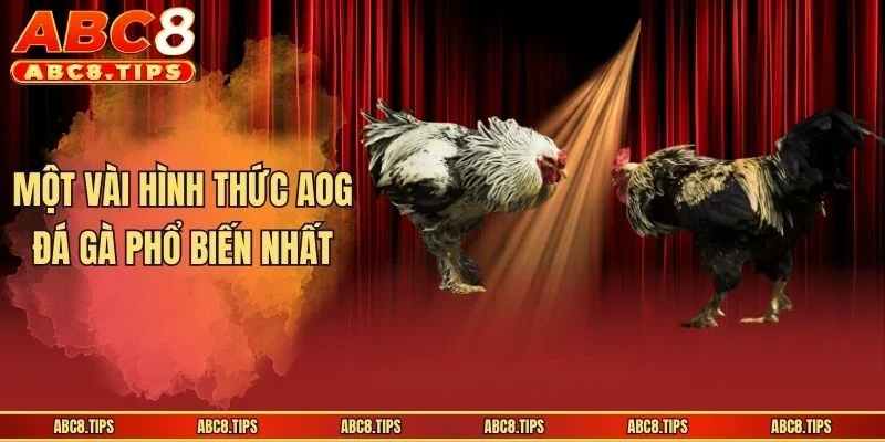 Một vài hình thức AOG đá gà phổ biến nhất