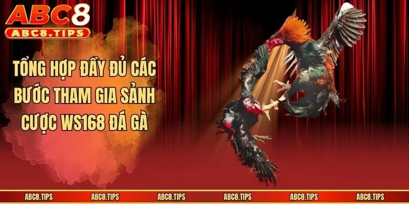 Tổng hợp đầy đủ các bước tham gia sảnh cược WS168 đá gà